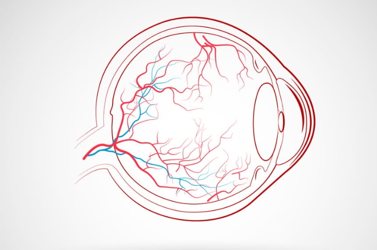Sanjivani Eye Hospital
